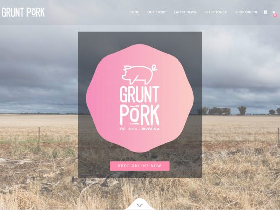 Web Design